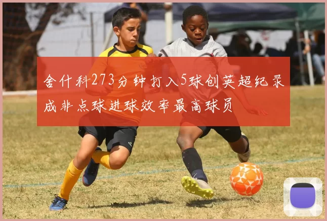 舍什科273分钟打入5球创英超纪录成非点球进球效率最高球员